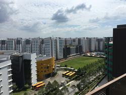 Primz Bizhub (D25), Factory #146208422